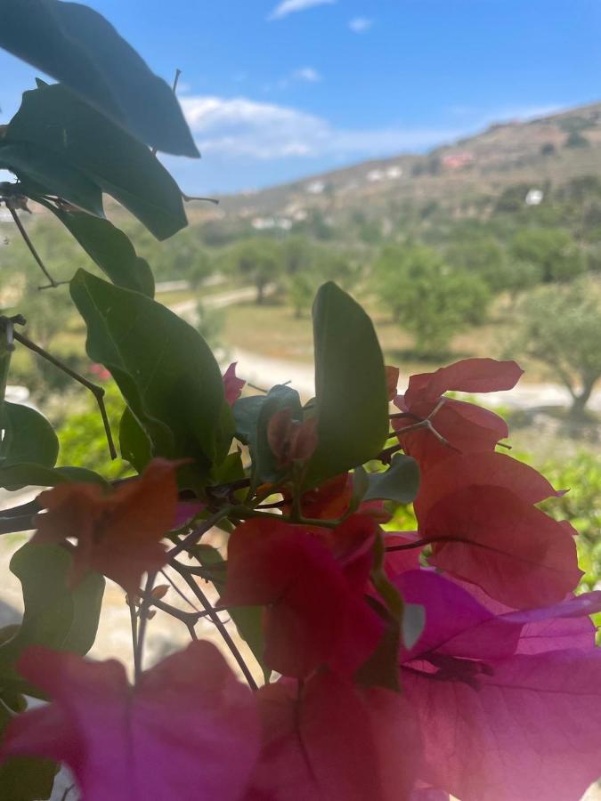 Apartmán Κτήμα Ειρήνη Otziás Exteriér fotografie